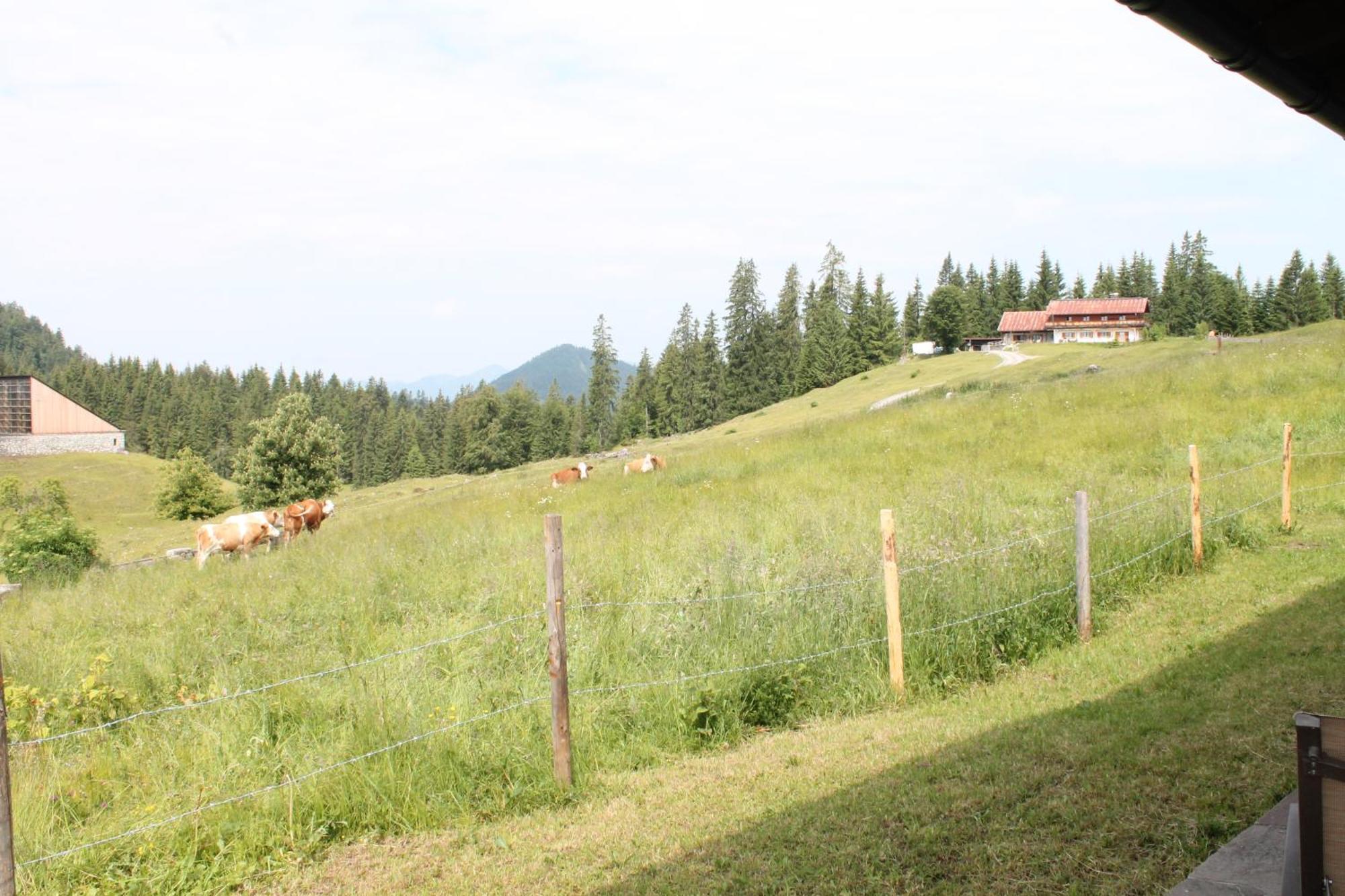 Winklmoos Sonnenalm Hotel Райт им Винкл Екстериор снимка